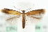  ( - MM08720)  @14 [ ] CreativeCommons - Attribution (2010) Unspecified Centre for Biodiversity Genomics
