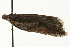  ( - MM08930)  @12 [ ] CreativeCommons - Attribution (2010) Unspecified Centre for Biodiversity Genomics