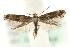  ( - MM08614)  @12 [ ] CreativeCommons - Attribution (2010) Unspecified Centre for Biodiversity Genomics