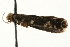  ( - MM08701)  @12 [ ] CreativeCommons - Attribution (2010) Unspecified Centre for Biodiversity Genomics