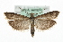  ( - MM09538)  @13 [ ] CreativeCommons - Attribution (2010) Unspecified Centre for Biodiversity Genomics