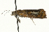  ( - MM09557)  @12 [ ] CreativeCommons - Attribution (2010) Unspecified Centre for Biodiversity Genomics