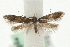  ( - MM10400)  @12 [ ] CreativeCommons - Attribution (2010) Unspecified Centre for Biodiversity Genomics