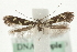  ( - MM10405)  @12 [ ] CreativeCommons - Attribution (2010) Unspecified Centre for Biodiversity Genomics