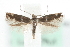 ( - MM10427)  @14 [ ] CreativeCommons - Attribution (2010) Unspecified Centre for Biodiversity Genomics