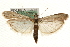  ( - MM10540)  @14 [ ] CreativeCommons - Attribution (2010) Unspecified Centre for Biodiversity Genomics