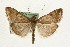  ( - MM10563)  @14 [ ] CreativeCommons - Attribution (2010) Unspecified Centre for Biodiversity Genomics