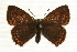  ( - MM10578)  @15 [ ] CreativeCommons - Attribution (2010) Unspecified Centre for Biodiversity Genomics