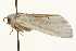 ( - MM10760)  @12 [ ] CreativeCommons - Attribution (2010) Unspecified Centre for Biodiversity Genomics