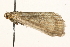  ( - MM11745)  @12 [ ] CreativeCommons - Attribution (2010) Unspecified Centre for Biodiversity Genomics