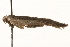  ( - MM11939)  @13 [ ] CreativeCommons - Attribution (2010) Unspecified Centre for Biodiversity Genomics