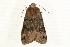  ( - MM12647)  @11 [ ] CreativeCommons - Attribution (2010) Unspecified Centre for Biodiversity Genomics