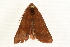  ( - MM12649)  @12 [ ] CreativeCommons - Attribution (2010) Unspecified Centre for Biodiversity Genomics
