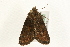  ( - MM12757)  @13 [ ] CreativeCommons - Attribution (2010) Unspecified Centre for Biodiversity Genomics