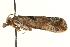  ( - MM13159)  @13 [ ] CreativeCommons - Attribution (2010) Unspecified Centre for Biodiversity Genomics