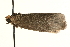  ( - MM13180)  @12 [ ] CreativeCommons - Attribution (2010) Unspecified Centre for Biodiversity Genomics