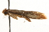  ( - MM13522)  @13 [ ] CreativeCommons - Attribution (2010) Unspecified Centre for Biodiversity Genomics