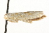  ( - MM13593)  @12 [ ] CreativeCommons - Attribution (2010) Unspecified Centre for Biodiversity Genomics