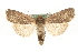  ( - MM11094)  @13 [ ] CreativeCommons - Attribution (2010) Unspecified Centre for Biodiversity Genomics