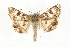 ( - MM11114)  @14 [ ] CreativeCommons - Attribution (2010) Unspecified Centre for Biodiversity Genomics