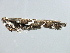  ( - MM12477)  @12 [ ] CreativeCommons - Attribution (2010) Unspecified Centre for Biodiversity Genomics