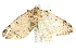  ( - MM12494)  @12 [ ] CreativeCommons - Attribution (2010) Unspecified Centre for Biodiversity Genomics