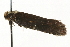  ( - MM13226)  @12 [ ] CreativeCommons - Attribution (2010) Unspecified Centre for Biodiversity Genomics