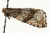  ( - MM13234)  @12 [ ] CreativeCommons - Attribution (2010) Unspecified Centre for Biodiversity Genomics
