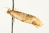  ( - MM13272)  @13 [ ] CreativeCommons - Attribution (2010) Unspecified Centre for Biodiversity Genomics