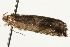  ( - MM13340)  @12 [ ] CreativeCommons - Attribution (2010) Unspecified Centre for Biodiversity Genomics