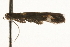  ( - MM13617)  @12 [ ] CreativeCommons - Attribution (2010) Unspecified Centre for Biodiversity Genomics