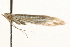  ( - MM13650)  @12 [ ] CreativeCommons - Attribution (2010) Unspecified Centre for Biodiversity Genomics