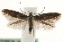  ( - MM14167)  @12 [ ] CreativeCommons - Attribution (2010) Unspecified Centre for Biodiversity Genomics