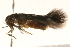  ( - MM14459)  @12 [ ] CreativeCommons - Attribution (2010) Unspecified Centre for Biodiversity Genomics