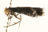  ( - MM14836)  @13 [ ] CreativeCommons - Attribution (2010) Unspecified Centre for Biodiversity Genomics