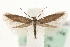  ( - MM15536)  @14 [ ] CreativeCommons - Attribution (2010) Unspecified Centre for Biodiversity Genomics