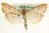  ( - MM15788)  @13 [ ] CreativeCommons - Attribution (2010) Unspecified Centre for Biodiversity Genomics