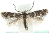  ( - MM14010)  @13 [ ] CreativeCommons - Attribution (2010) Unspecified Centre for Biodiversity Genomics