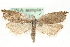  ( - MM14116)  @14 [ ] CreativeCommons - Attribution (2010) Unspecified Centre for Biodiversity Genomics
