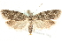  ( - MM14329)  @13 [ ] CreativeCommons - Attribution (2010) Unspecified Centre for Biodiversity Genomics