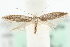  ( - MM14359)  @12 [ ] CreativeCommons - Attribution (2010) Unspecified Centre for Biodiversity Genomics