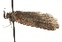  ( - MM14769)  @13 [ ] CreativeCommons - Attribution (2010) Unspecified Centre for Biodiversity Genomics