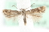  ( - MM15569)  @13 [ ] CreativeCommons - Attribution (2010) Marko Mutanen Centre for Biodiversity Genomics
