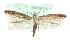  ( - MM15578)  @11 [ ] CreativeCommons - Attribution (2010) Marko Mutanen Centre for Biodiversity Genomics