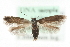  ( - MM15608)  @15 [ ] CreativeCommons - Attribution (2010) Marko Mutanen Centre for Biodiversity Genomics