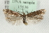  (Scrobipalpa pauperella - MM15636)  @15 [ ] CreativeCommons - Attribution (2010) Marko Mutanen Centre for Biodiversity Genomics