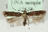  ( - MM15638)  @13 [ ] CreativeCommons - Attribution (2010) Marko Mutanen Centre for Biodiversity Genomics