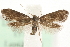 ( - MM15749)  @12 [ ] CreativeCommons - Attribution (2010) Marko Mutanen Centre for Biodiversity Genomics