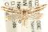  ( - MM11464)  @13 [ ] CreativeCommons - Attribution (2010) Unspecified Centre for Biodiversity Genomics