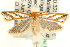  ( - MM11474)  @14 [ ] CreativeCommons - Attribution (2010) Unspecified Centre for Biodiversity Genomics
